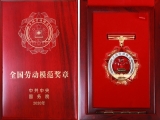祝賀高接枝總工程師榮獲“全國勞動模范”榮譽稱號